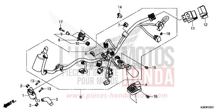 FAISCEAU DES FILS (CRF125F/FB K) de CRF125F "Petites Roues" EXTREME RED (R292) 2019
